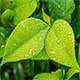 home_eco_blog4