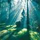 home_eco_blog5