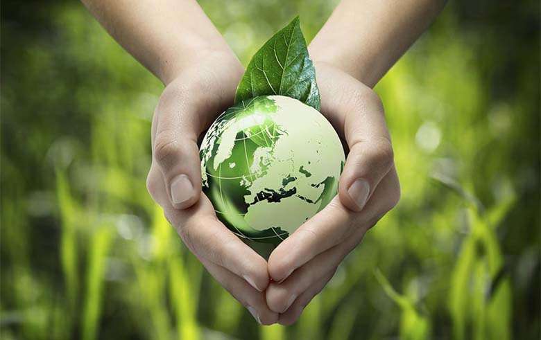 home_eco_company1